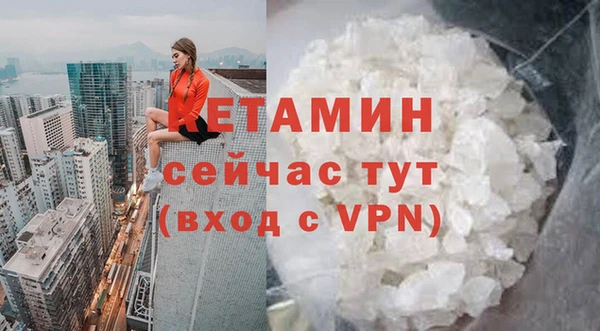 дмт Арсеньев