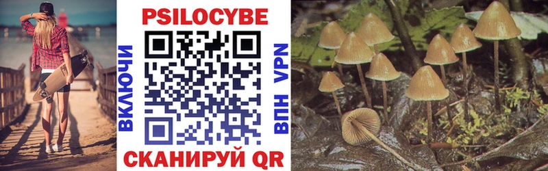 Псилоцибиновые грибы Psilocybe Камбарка